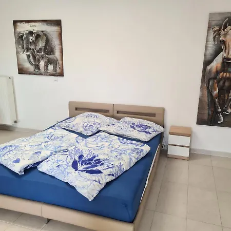 Fafa With Pool Apartment Essen